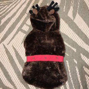 Dog Holiday Costume for Christmas and/or Halloween (Size: Medium)